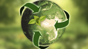 Trvalá udržateľnosť v našej škole