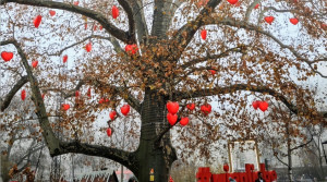 3. E na Vianočných trhoch